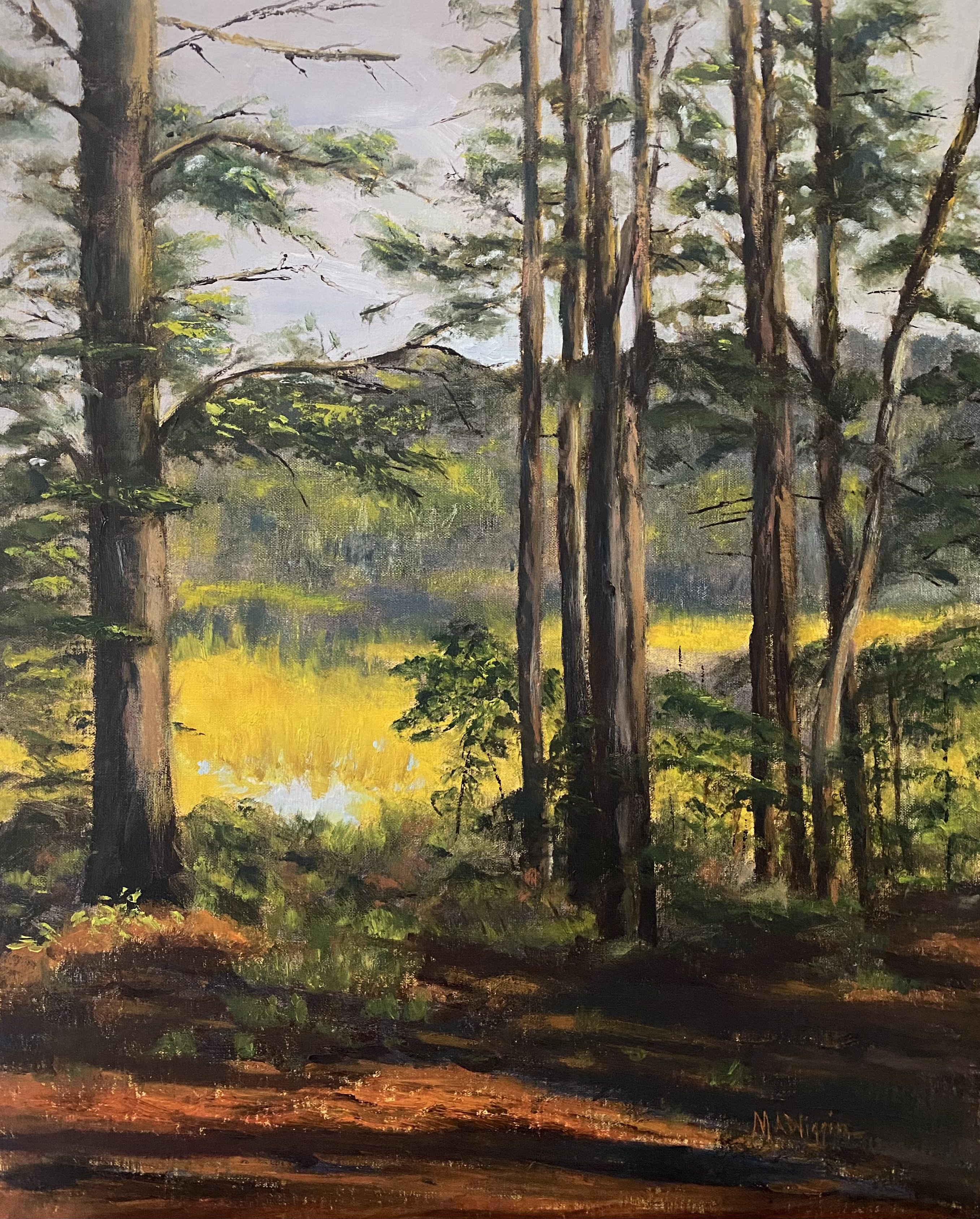 A Golden Afternoon in Tamworth 16X20 Oil on Linen ($650 Framed)