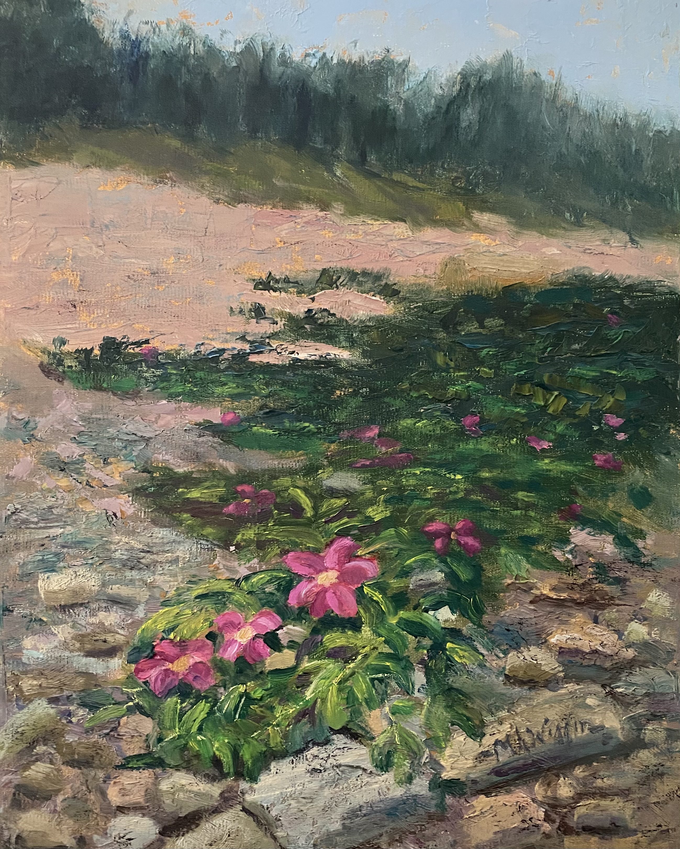 The Beach Rose 11X14 Oil on Linen ($550 Framed)