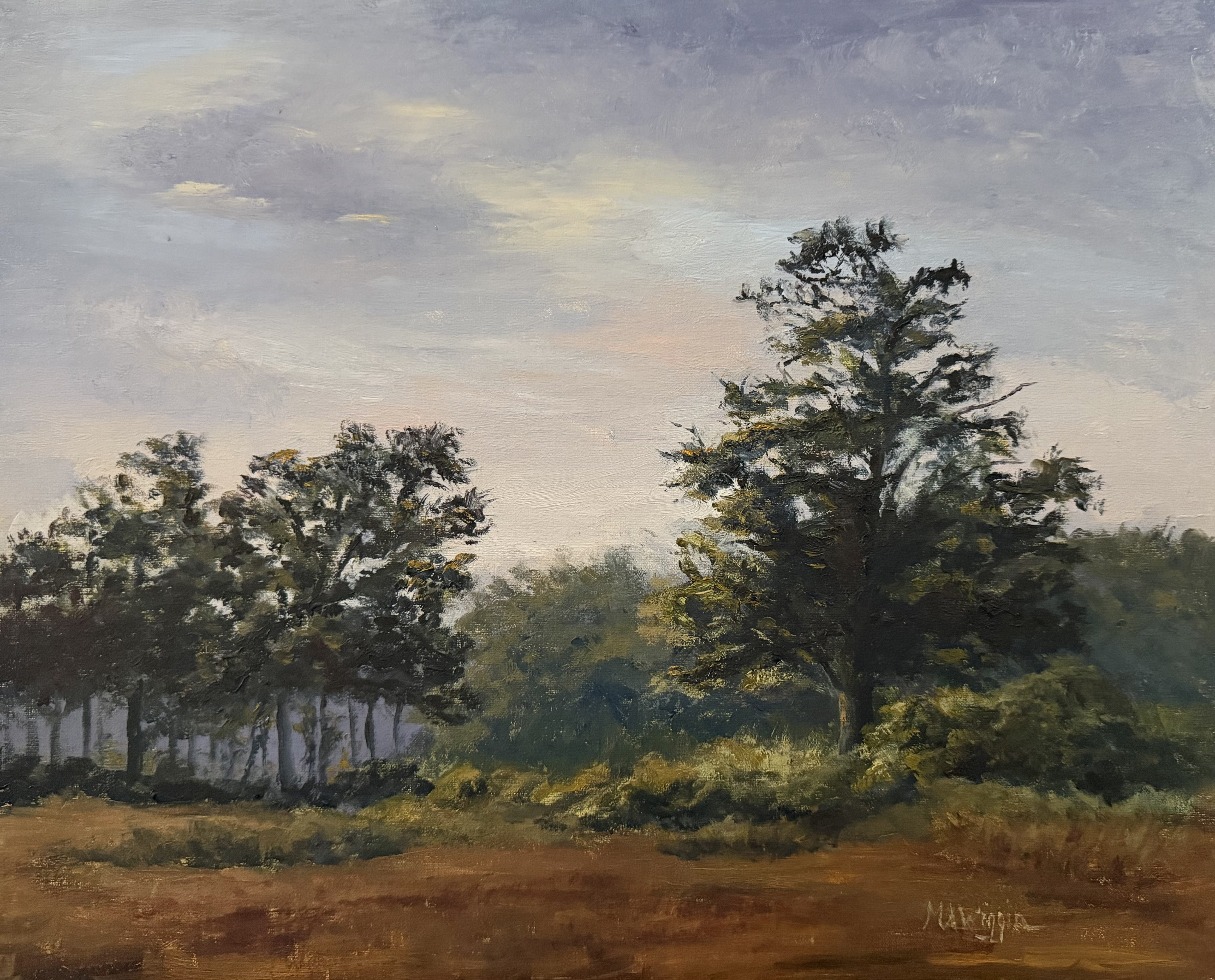 Golden Field of Trees 16×20 Oil on Linen Framed $1150